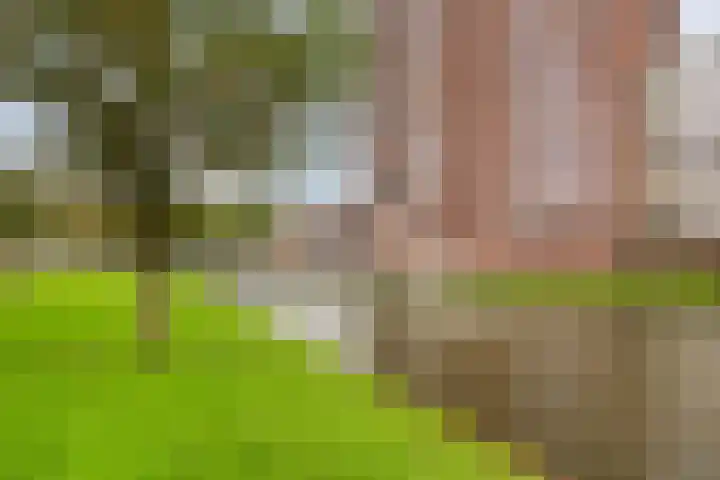 Laan van Europa 175 Roosendaal thumbnail 31