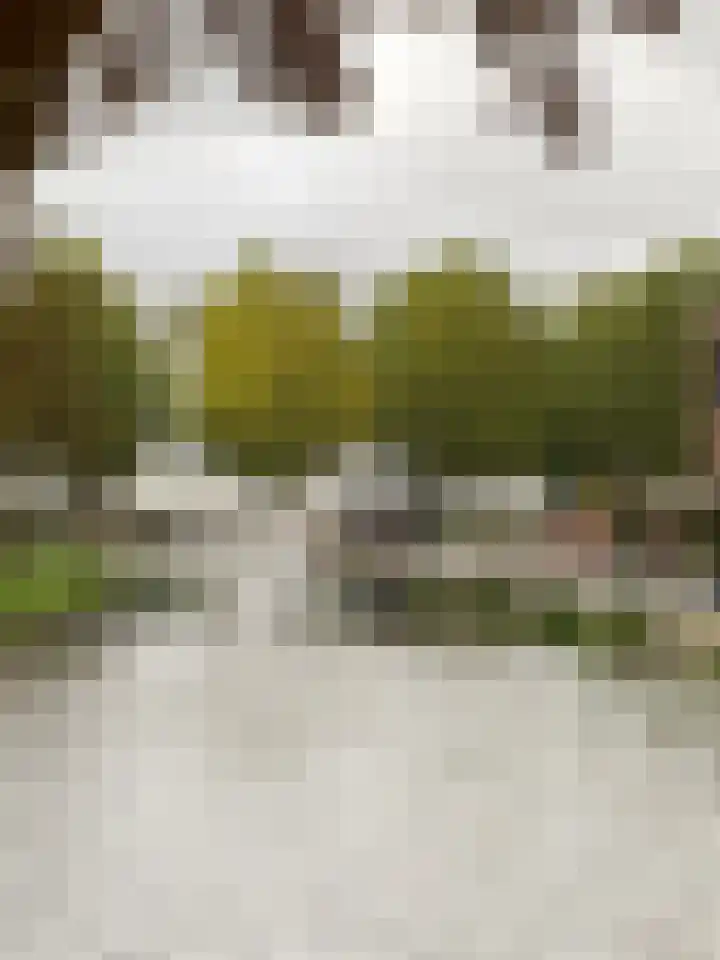 Laan van Europa 175 Roosendaal thumbnail 32