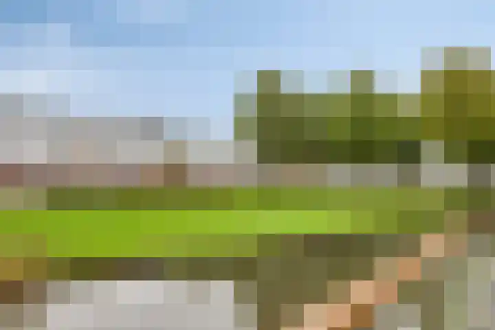 Laan van Europa 175 Roosendaal thumbnail 33