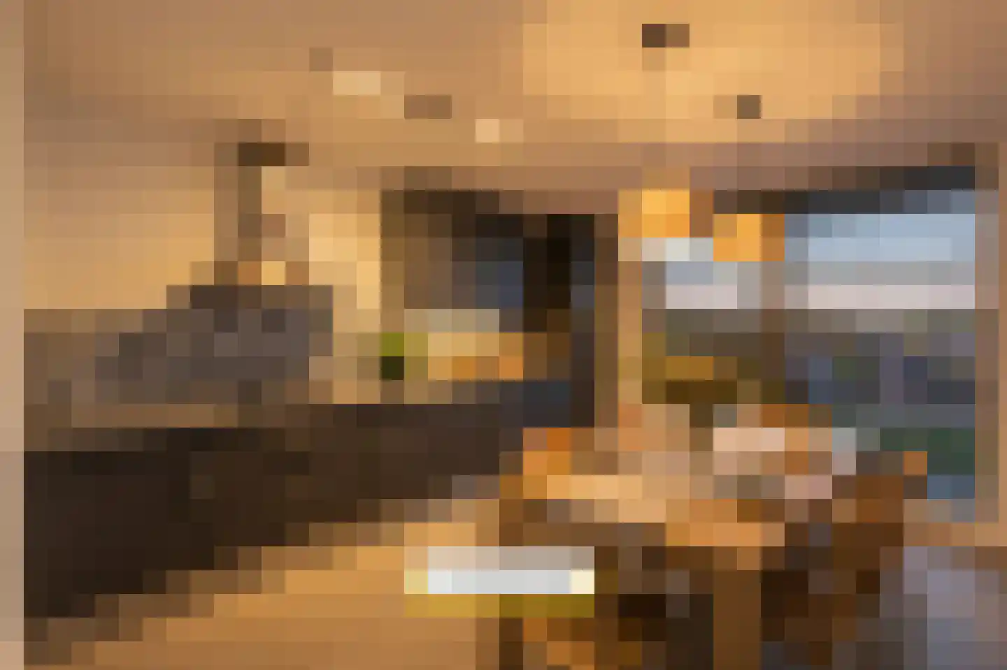 Laan van Europa 197 Roosendaal thumbnail 11