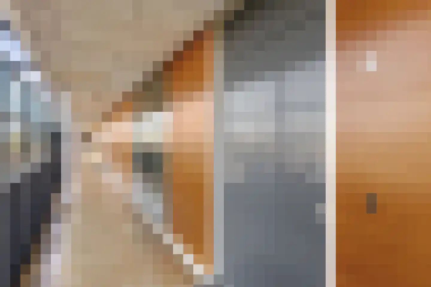 Laan van Europa 197 Roosendaal thumbnail 31