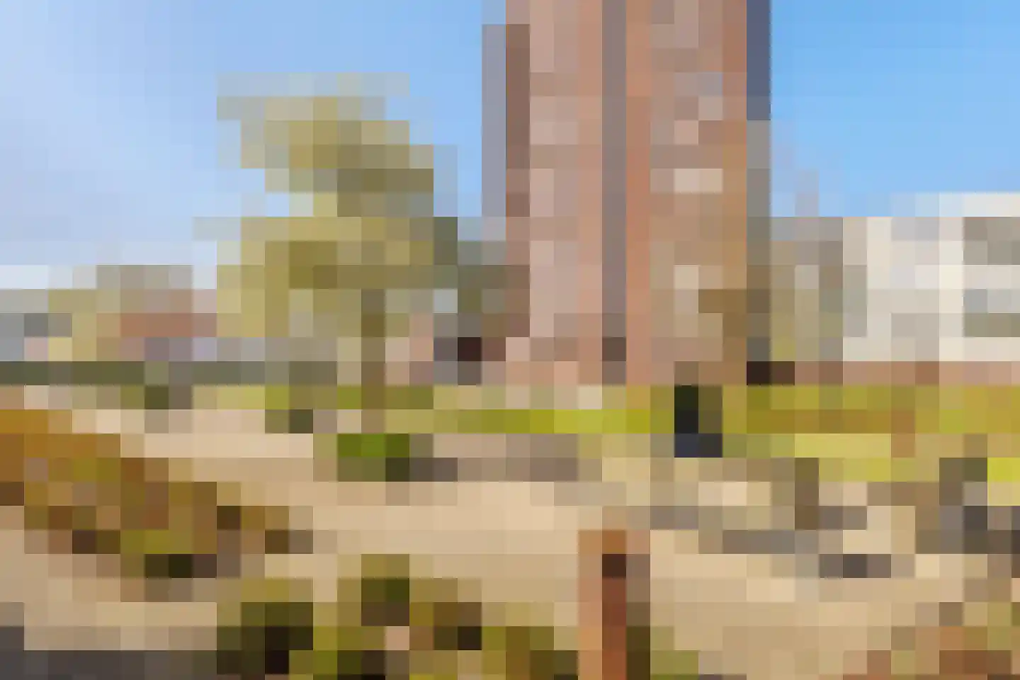 Laan van Europa 197 Roosendaal thumbnail 33