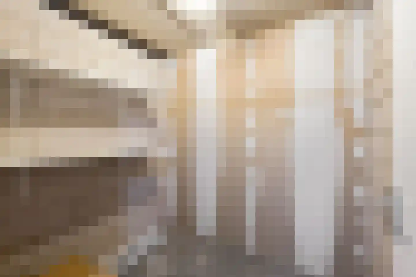 Laan van Europa 197 Roosendaal thumbnail 40