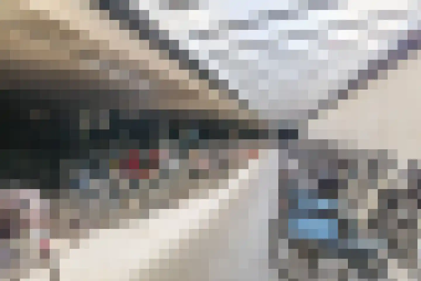 Laan van Europa 197 Roosendaal thumbnail 41
