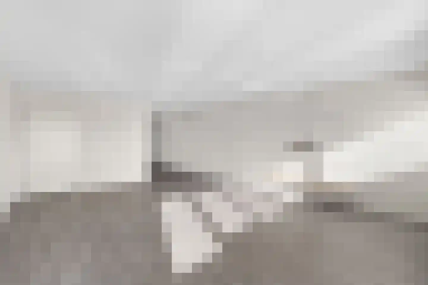 Laan van Europa 197 Roosendaal thumbnail 6