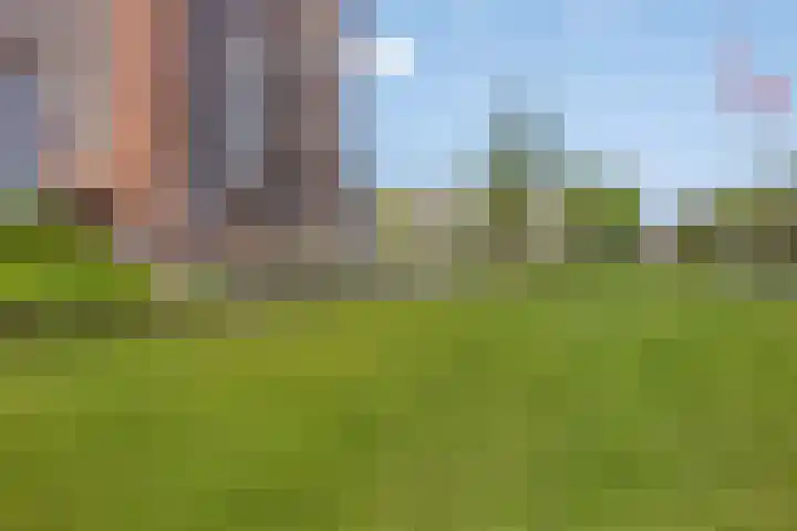 Laan van Europa 357 Roosendaal thumbnail 31