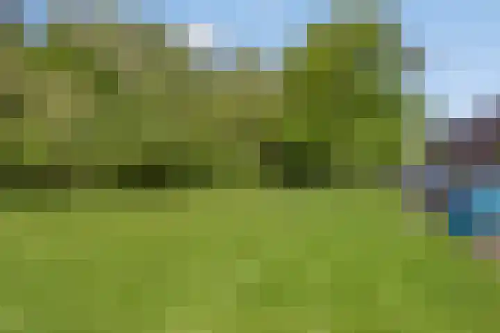 Laan van Europa 357 Roosendaal thumbnail 32
