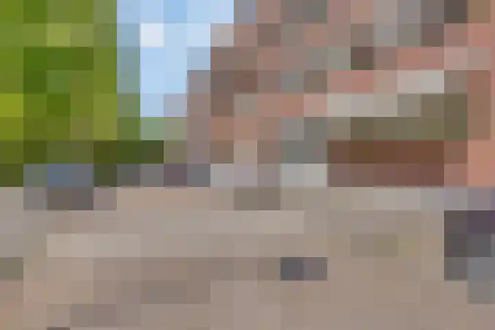 Laan van Europa 357 Roosendaal thumbnail 33