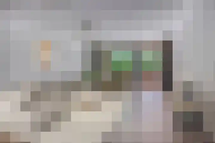 Laan van Europa 357 Roosendaal thumbnail 6