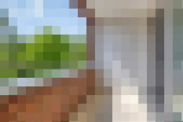 Laan van Europa 357 Roosendaal thumbnail 8