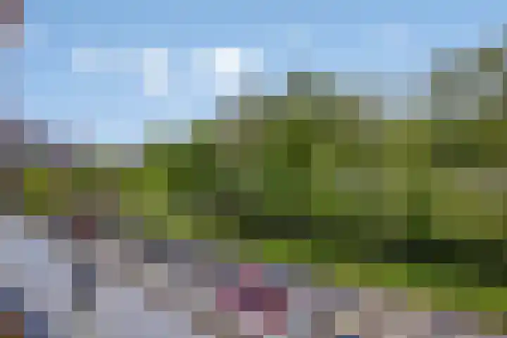 Laan van Europa 357 Roosendaal thumbnail 9