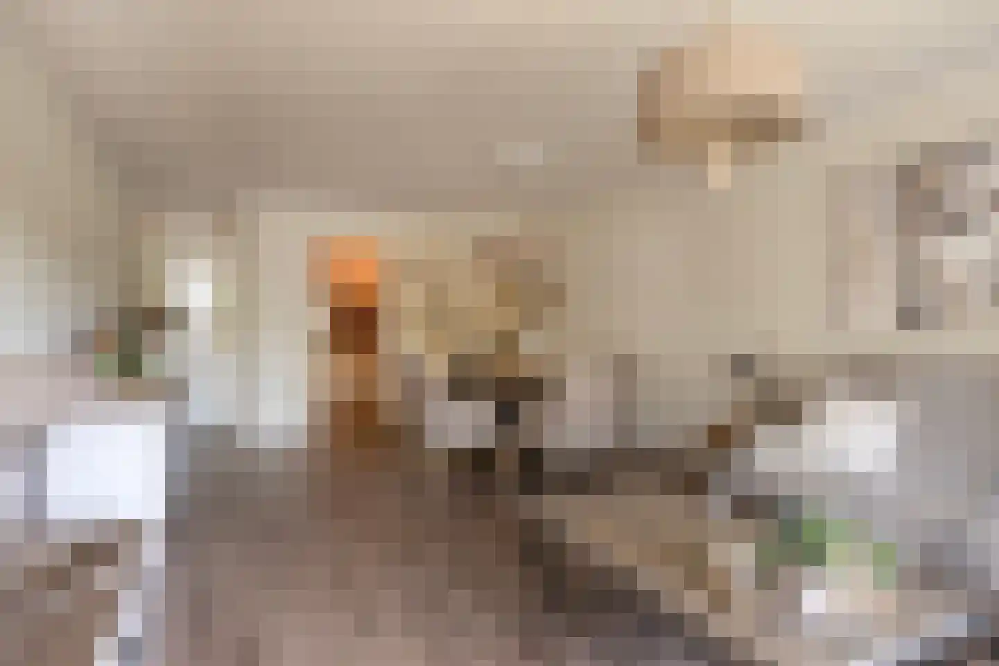 Laan van Europa 387 Roosendaal thumbnail 6