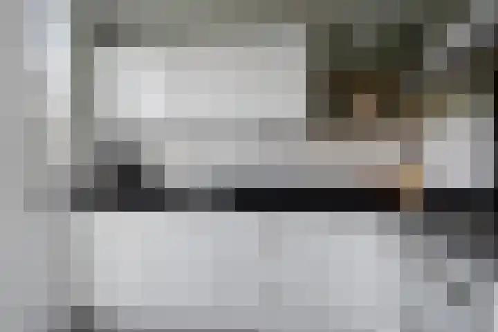 Laan van Everswaard 23 Bergen op Zoom thumbnail 13