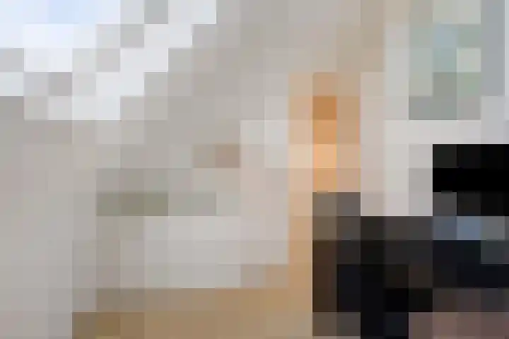 Laan van Everswaard 23 Bergen op Zoom thumbnail 27