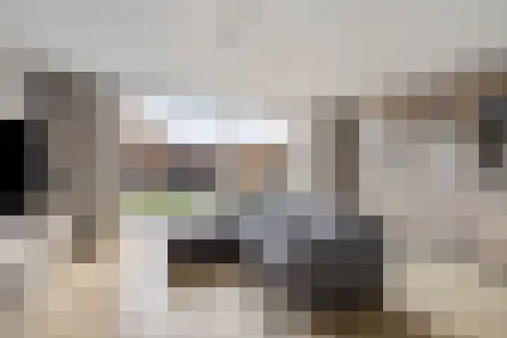 Laan van Everswaard 23 Bergen op Zoom thumbnail 9