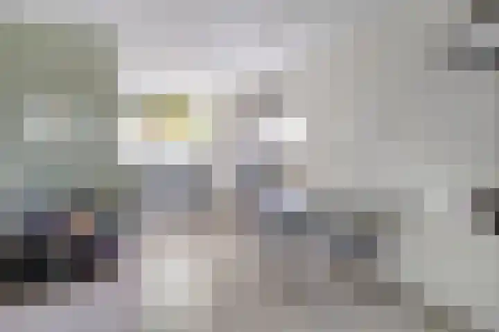 Laan van Everswaard 72 Bergen op Zoom thumbnail 10