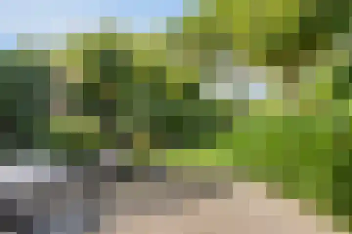 Laan van Everswaard 72 Bergen op Zoom thumbnail 32
