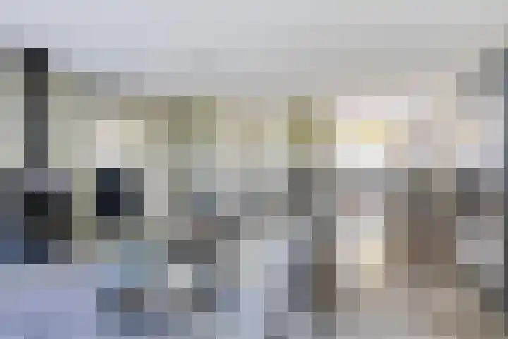 Laan van Everswaard 72 Bergen op Zoom thumbnail 4