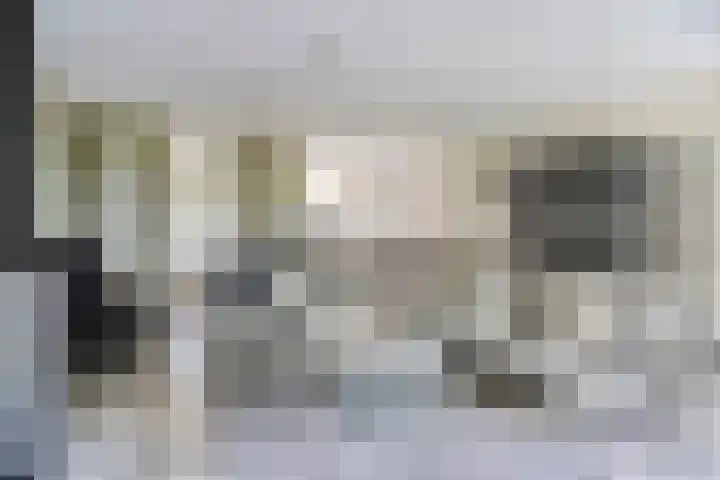 Laan van Everswaard 72 Bergen op Zoom thumbnail 5