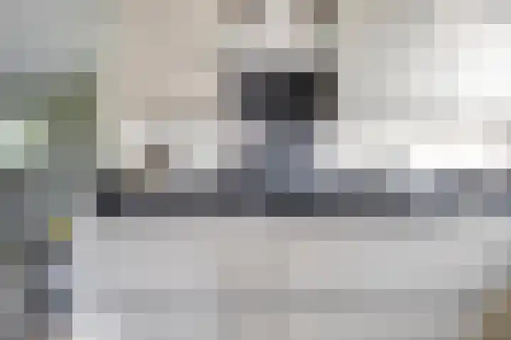 Laan van Everswaard 72 Bergen op Zoom thumbnail 9