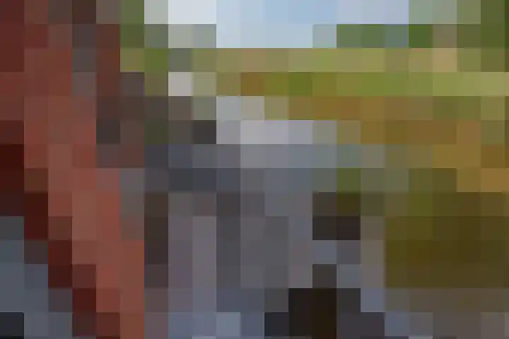Laan van Floris de Vijfde 139 Nootdorp thumbnail 11