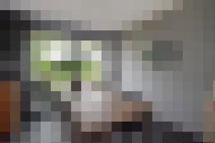 Laan van Floris de Vijfde 139 Nootdorp thumbnail 25
