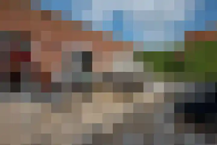 Laan van Floris de Vijfde 139 Nootdorp thumbnail 36