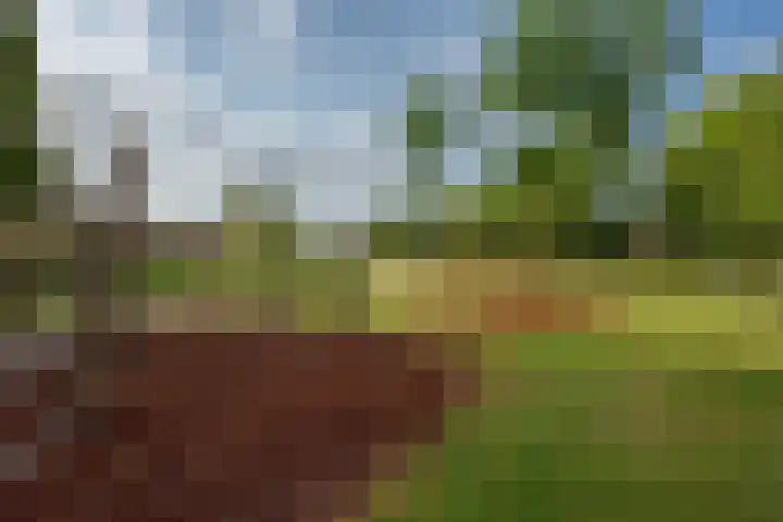 Laan van Floris de Vijfde 139 Nootdorp thumbnail 42