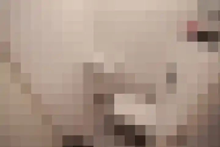 Laan van Floris de Vijfde 139 Nootdorp thumbnail 8