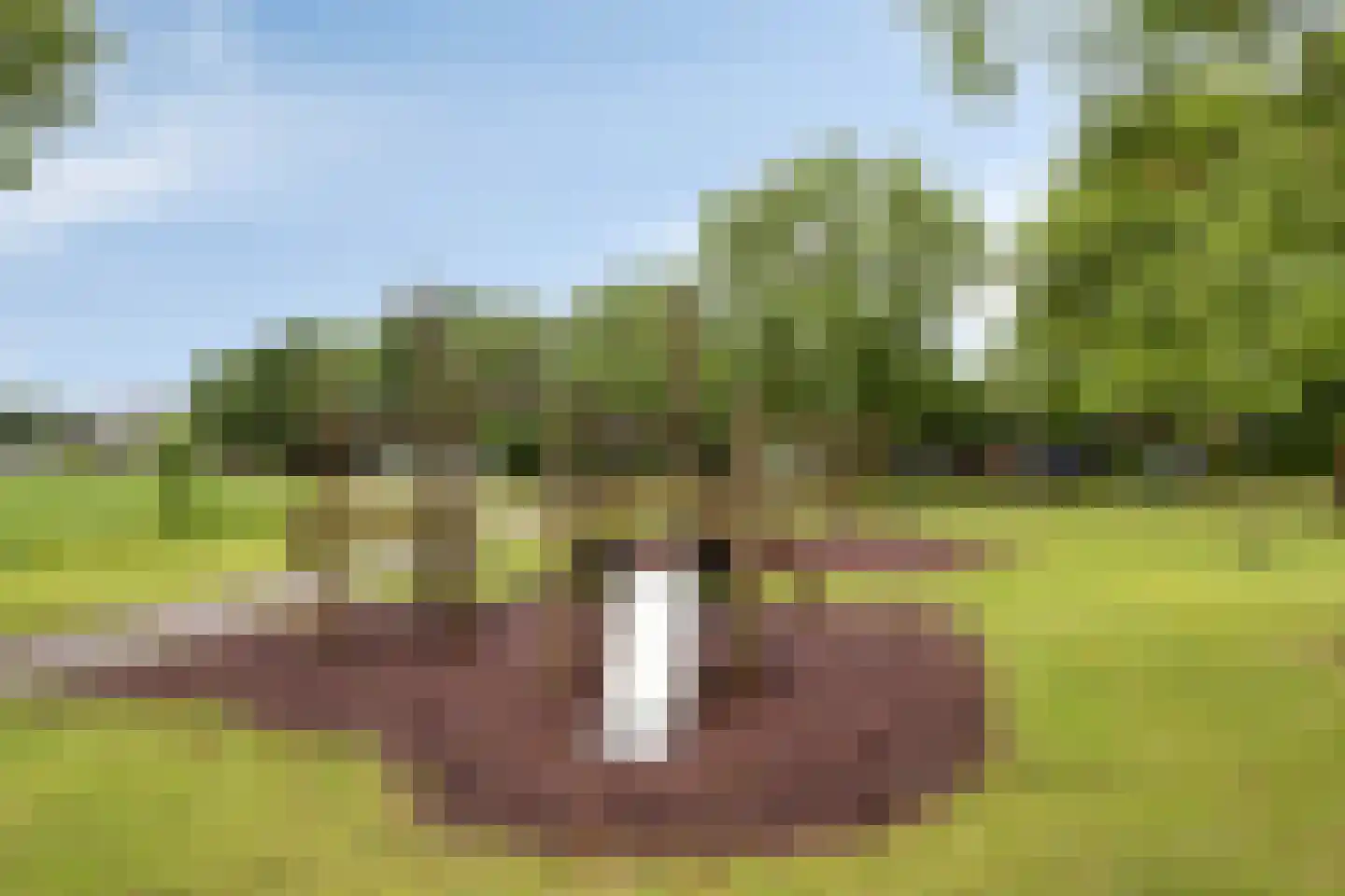 Laan van Floris de Vijfde 145 Nootdorp thumbnail 63