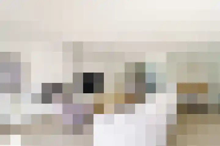 Laan van Floris de Vijfde 18 Nootdorp thumbnail 10