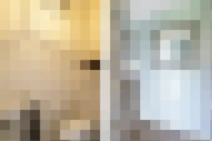 Laan van Floris de Vijfde 18 Nootdorp thumbnail 14