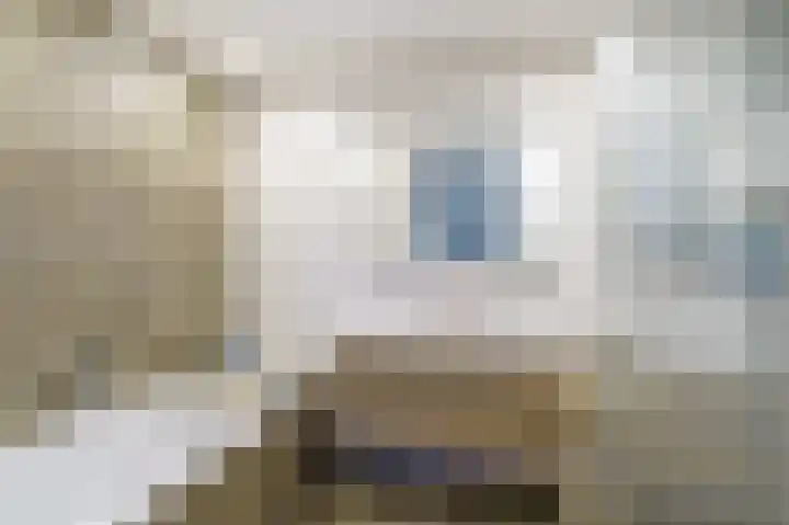 Laan van Floris de Vijfde 18 Nootdorp thumbnail 17