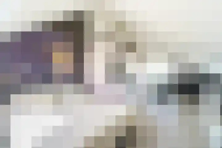 Laan van Floris de Vijfde 18 Nootdorp thumbnail 22