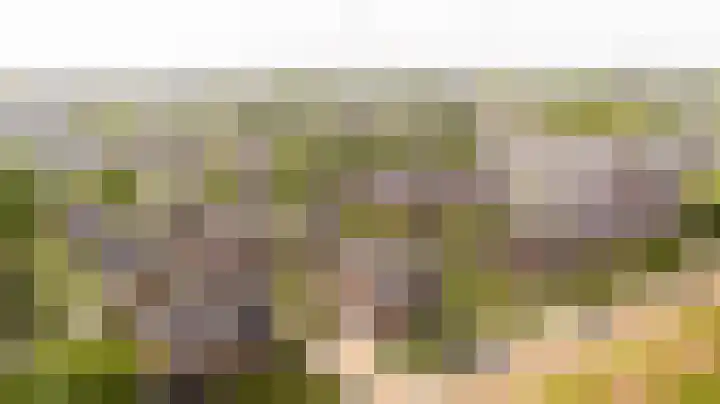 Laan van Floris de Vijfde 18 Nootdorp thumbnail 28