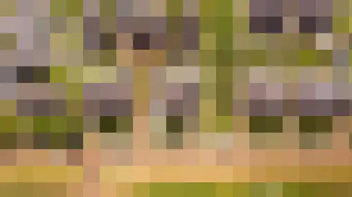 Laan van Floris de Vijfde 18 Nootdorp thumbnail 29