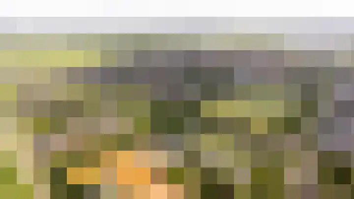 Laan van Floris de Vijfde 18 Nootdorp thumbnail 31