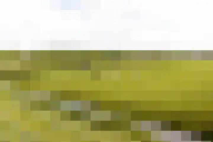 Laan van Floris de Vijfde 18 Nootdorp thumbnail 33