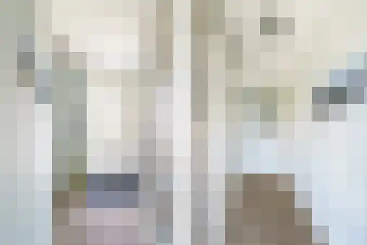 Laan van Floris de Vijfde 18 Nootdorp thumbnail 5