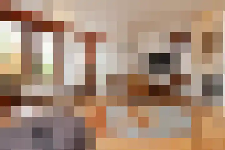 Laan van Floris de Vijfde 4 Nootdorp thumbnail 13
