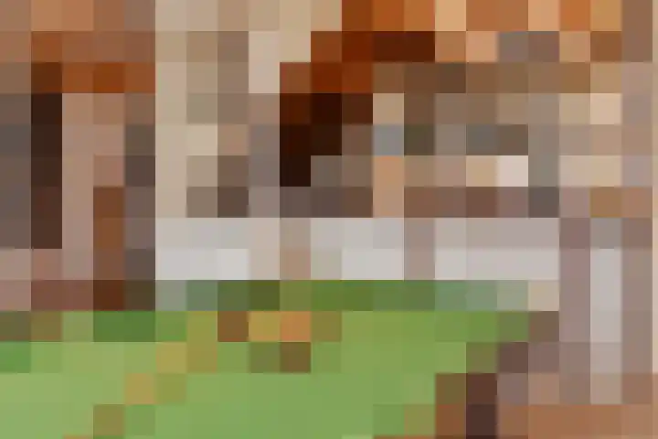 Laan van Floris de Vijfde 4 Nootdorp thumbnail 22