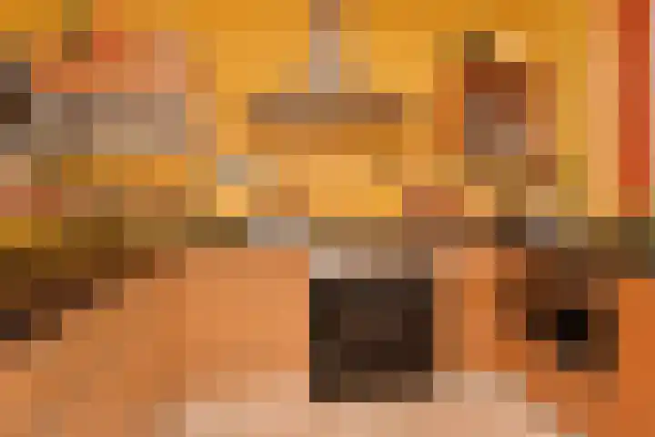 Laan van Floris de Vijfde 4 Nootdorp thumbnail 24