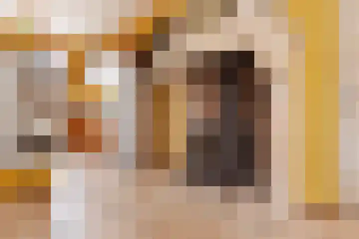 Laan van Floris de Vijfde 4 Nootdorp thumbnail 29