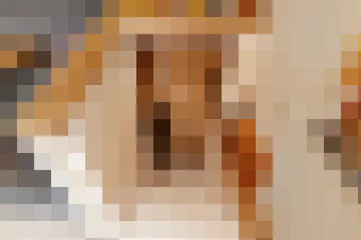 Laan van Floris de Vijfde 4 Nootdorp thumbnail 32