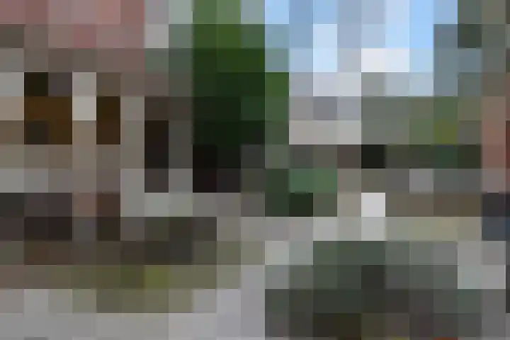 Laan van Floris de Vijfde 4 Nootdorp thumbnail 36
