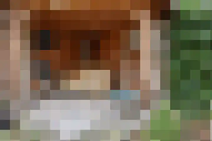 Laan van Floris de Vijfde 4 Nootdorp thumbnail 41
