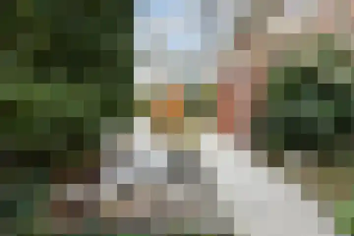Laan van Floris de Vijfde 4 Nootdorp thumbnail 42