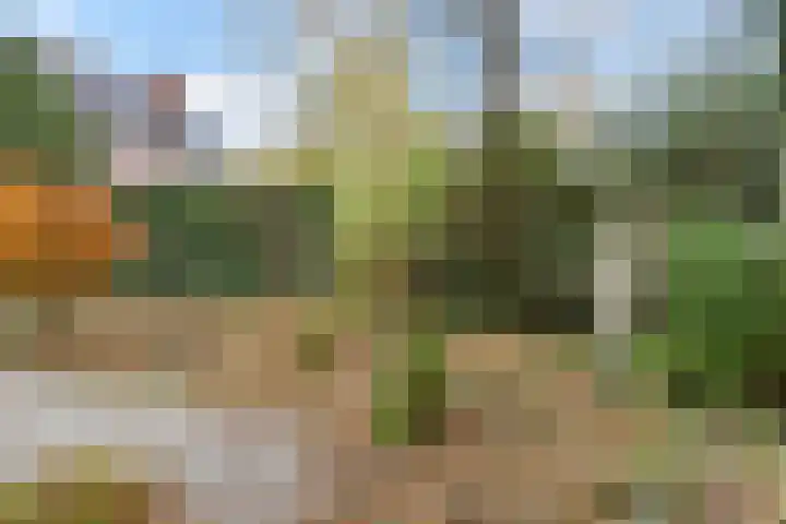 Laan van Floris de Vijfde 4 Nootdorp thumbnail 44
