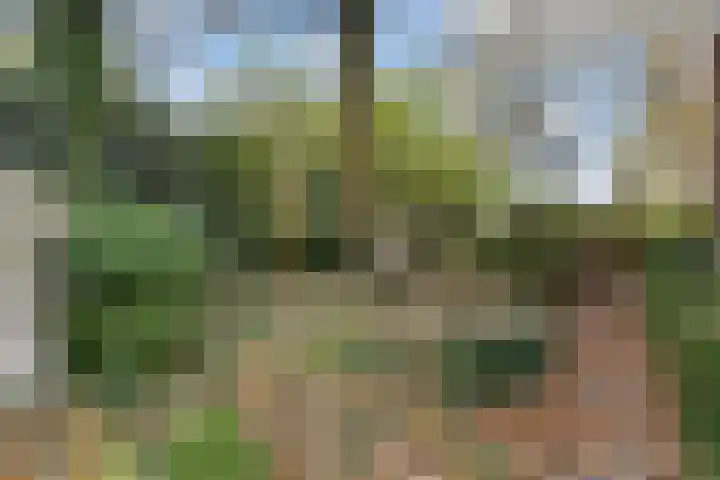 Laan van Floris de Vijfde 4 Nootdorp thumbnail 45