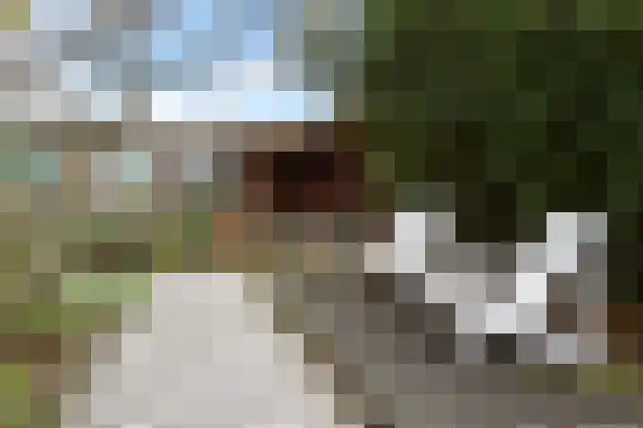 Laan van Floris de Vijfde 4 Nootdorp thumbnail 47
